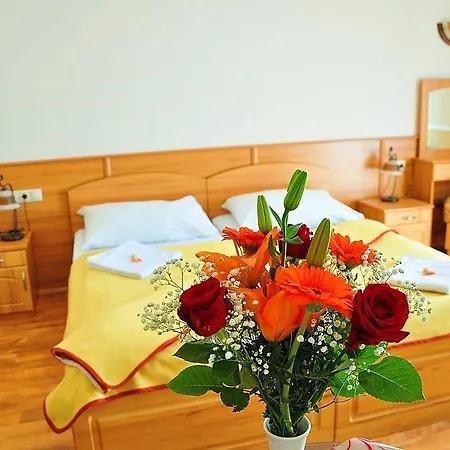 Hotel Nefelejcs Mezőkövesd