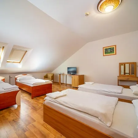 Hotel Nefelejcs 3*