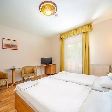 Hotel Nefelejcs 3*