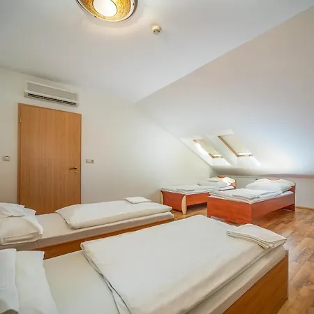 Nefelejcs Hotel 3*