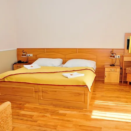 Hotel Nefelejcs Mezokovesd