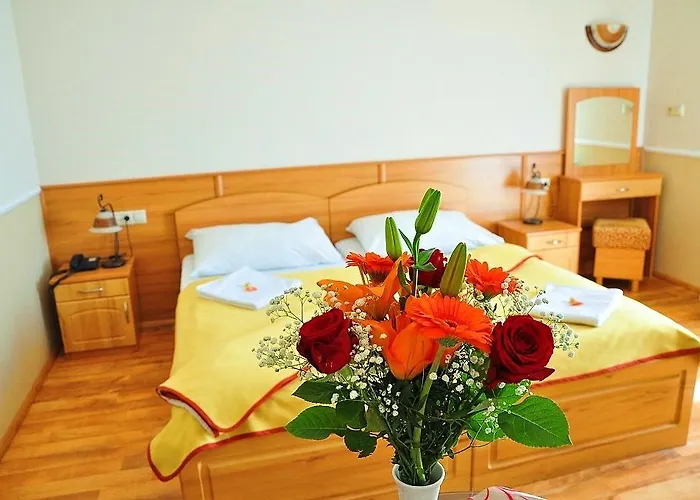 Hotel Nefelejcs Mezőkövesd